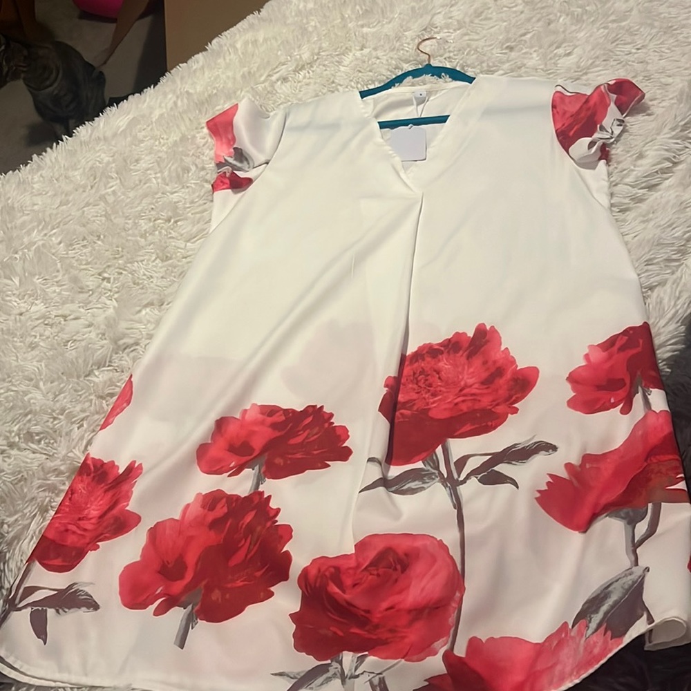 Cute shift dress-sheer